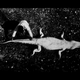 Image for article titled This awesome image may be found by aliens one day, floating in space